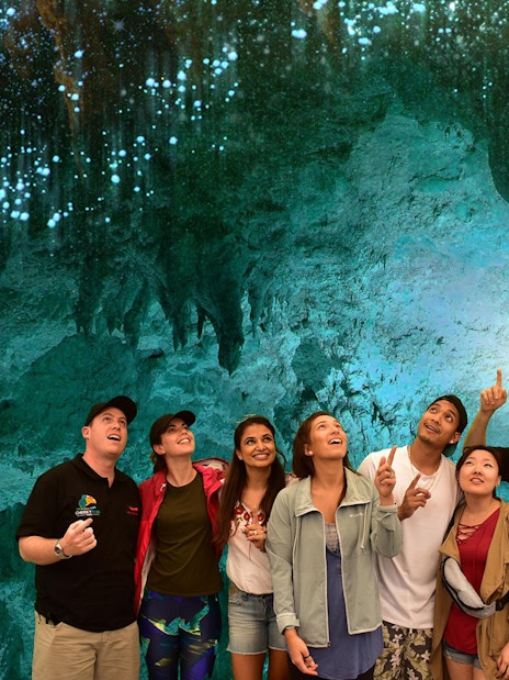 Group admiring glowworms in Waitomo Caves during Auckland tour.