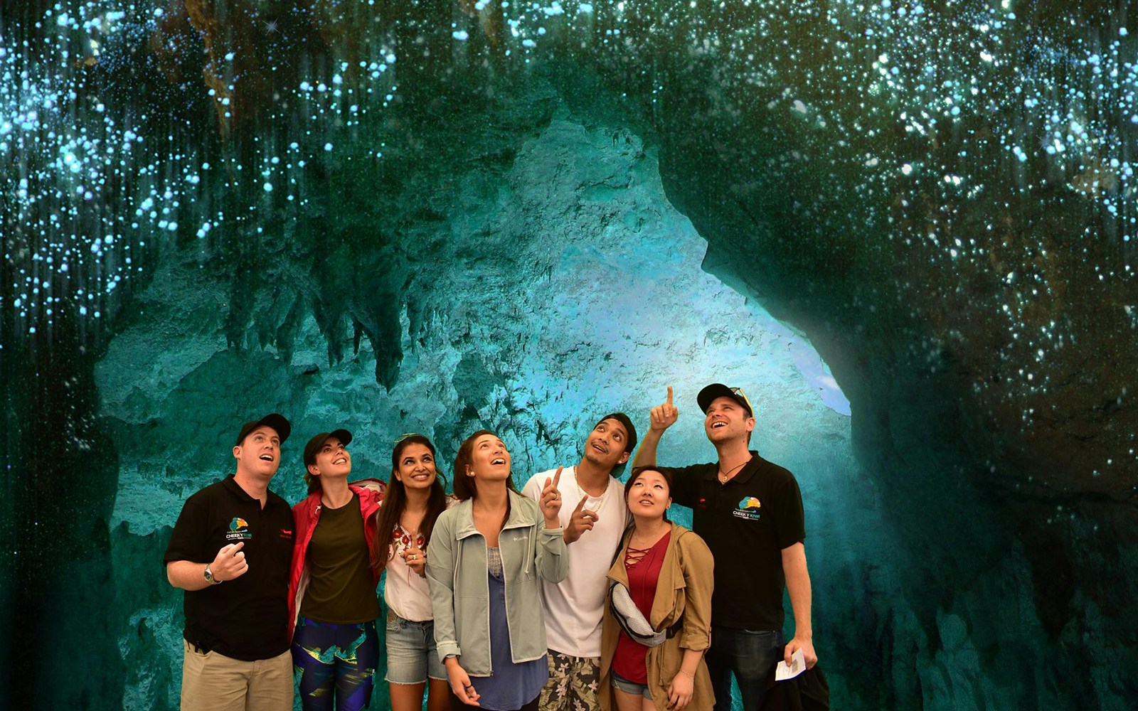 Group admiring glowworms in Waitomo Caves during Auckland tour.