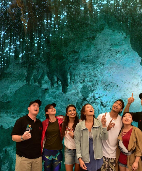 Group admiring glowworms in Waitomo Caves during Auckland tour.