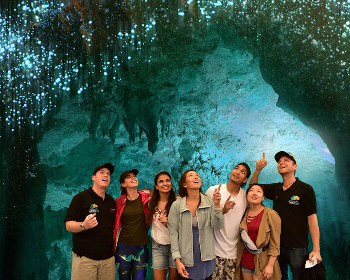 From Auckland: Waitomo Glowworm Caves Guided Tour