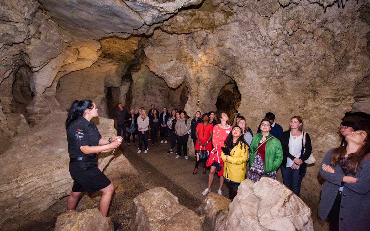 from auckland: waitomo glowworm caves small group tour-7 from auckland: waitomo glowworm caves small group tour-7