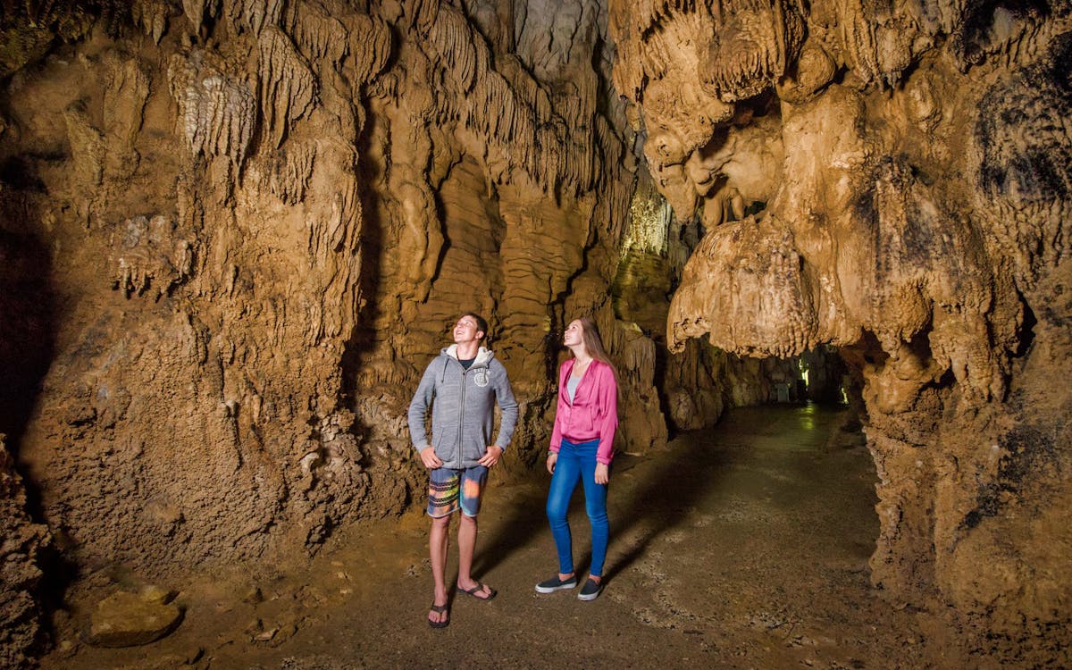 from auckland: waitomo glowworm caves small group tour-2 from auckland: waitomo glowworm caves small group tour-2