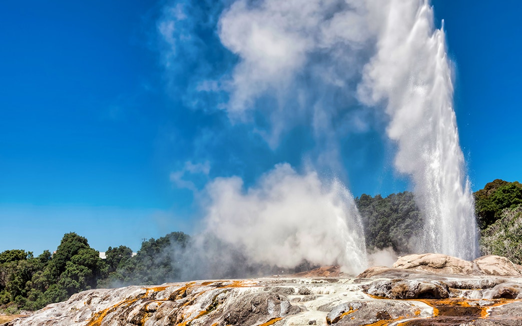 Geyser erupting at Te Puia geothermal park, part of Rotorua tour.