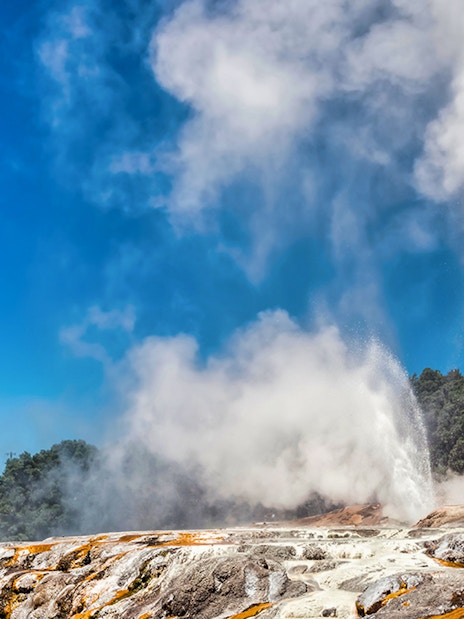 Geyser erupting at Te Puia geothermal park, part of Rotorua tour.