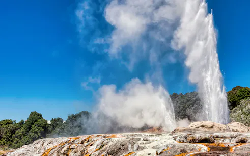 Geyser erupting at Te Puia geothermal park, part of Rotorua tour.