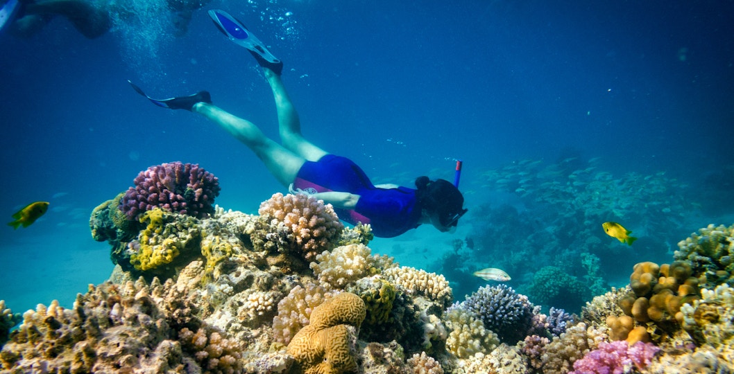 Snorkelers exploring coral reefs in clear waters