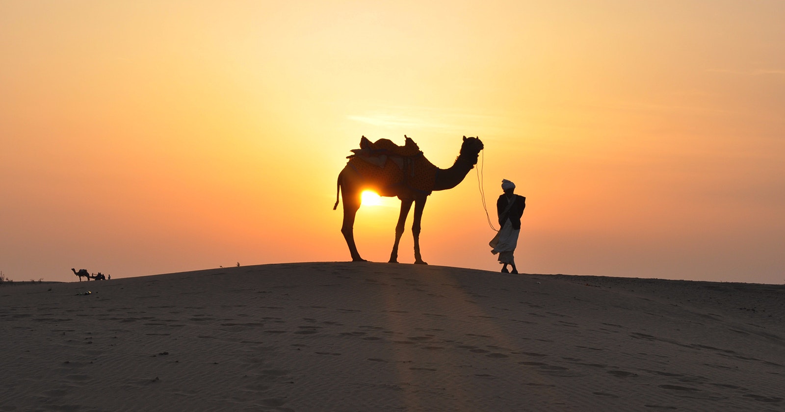 camel rides in dubai