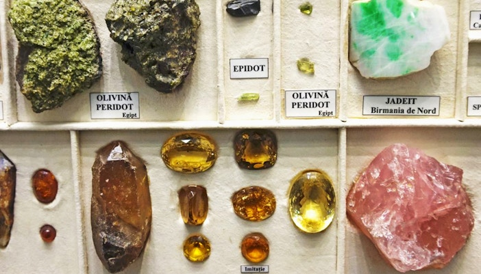 Inside National History of Natural Museum