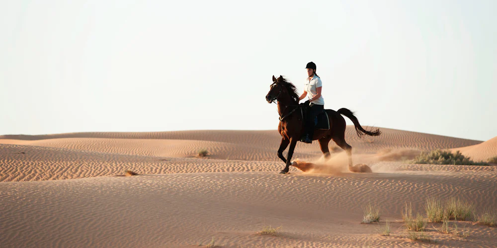 best desert safari dubai