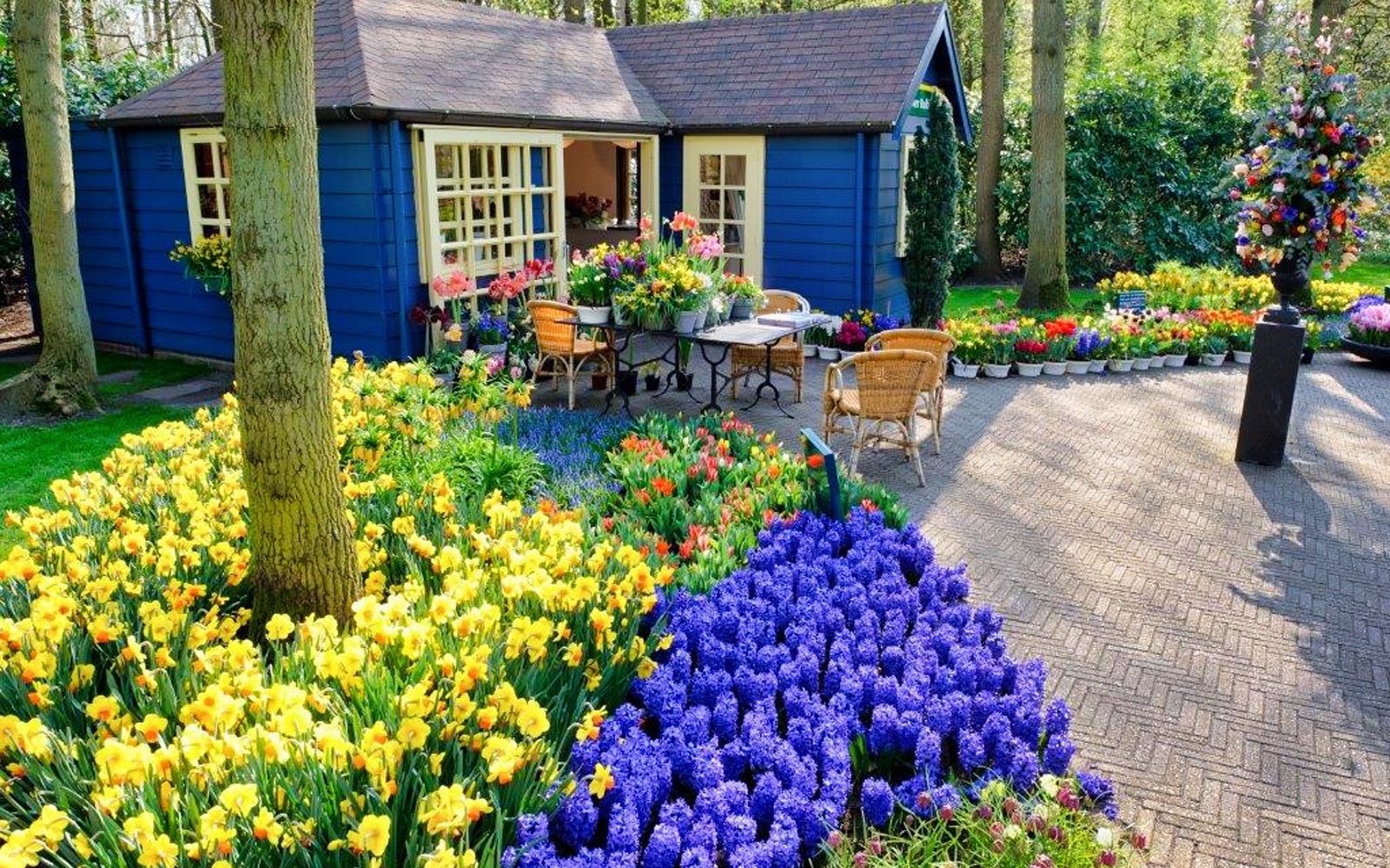 Keukenhof Estate garden with vibrant tulips and a blue cottage.