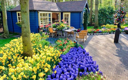Keukenhof Gardens Tour from Brussels: Tulips Galore