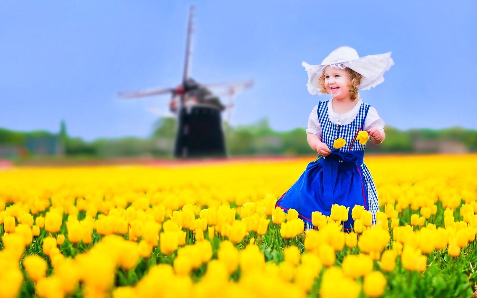 Child in traditional Dutch attire in a tulip field with a windmill in Holland.