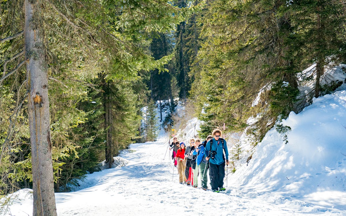 "winter alpine adventure": racchette da neve, slittino e pranzo con fonduta di formaggio-6 "winter alpine adventure": racchette da neve, slittino e pranzo con fonduta di formaggio-6