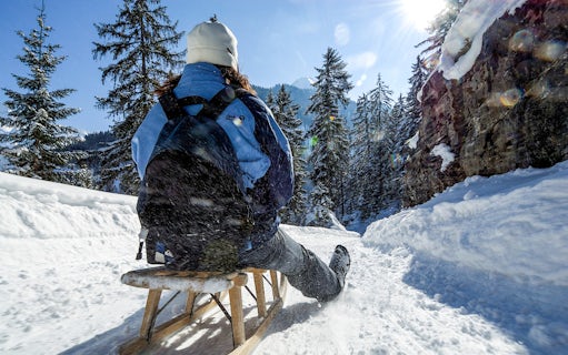 Person sledding down snowy Alpine trail surrounded by trees.