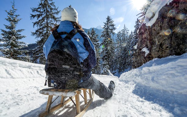 Person sledding down snowy Alpine trail surrounded by trees.