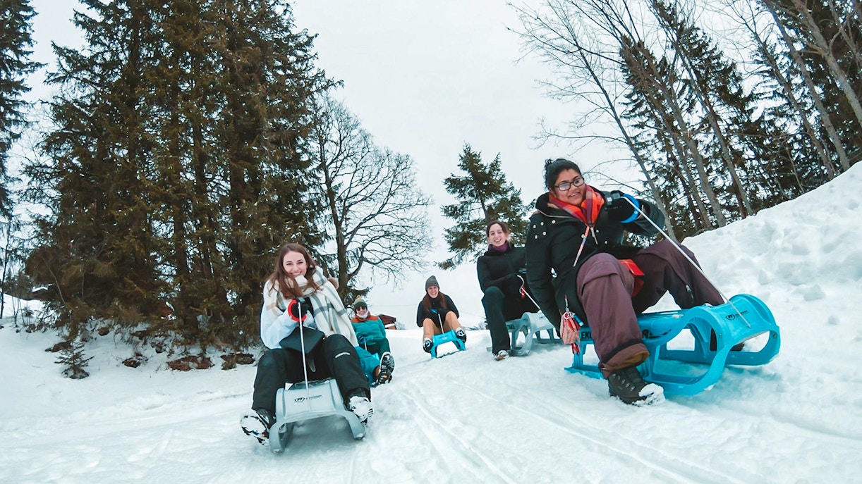 Sledding Interlaken
