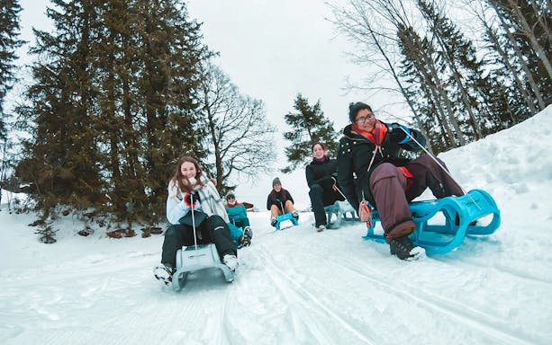 Group sledding down snowy trail in Sulwald during guided day trip from Interlaken.