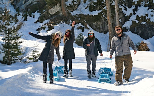 Group sledding on snowy trail in Sulwald during guided day trip from Interlaken.