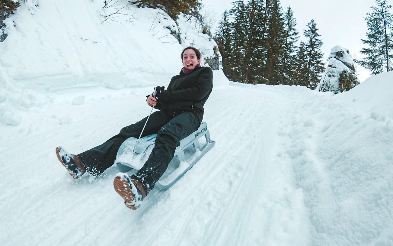 Person sledding down a snowy trail in Sulwald, surrounded by trees, during a guided day tour from Interlaken.