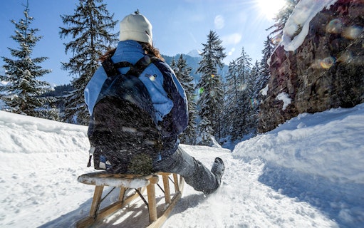 Person sledding down snowy trail in Sulwald, surrounded by pine trees, during guided day trip from Interlaken.