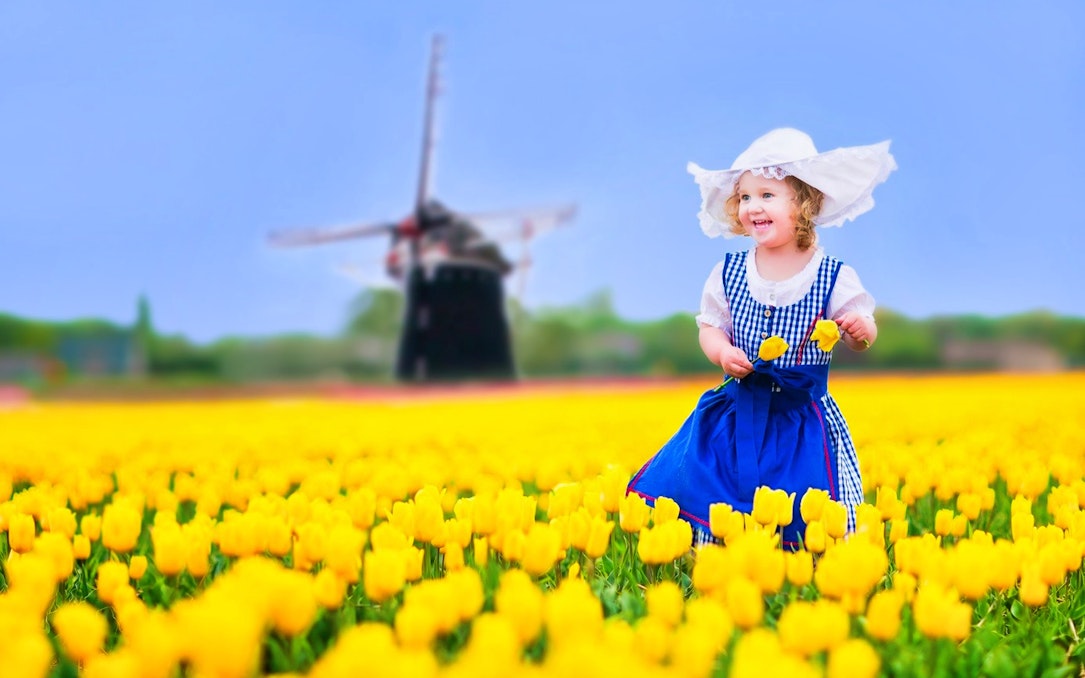 Child in tulip field with windmill, part of The Grand Brussels Experience Coach Tour.