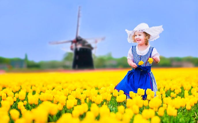 Child in tulip field with windmill, part of The Grand Brussels Experience Coach Tour.