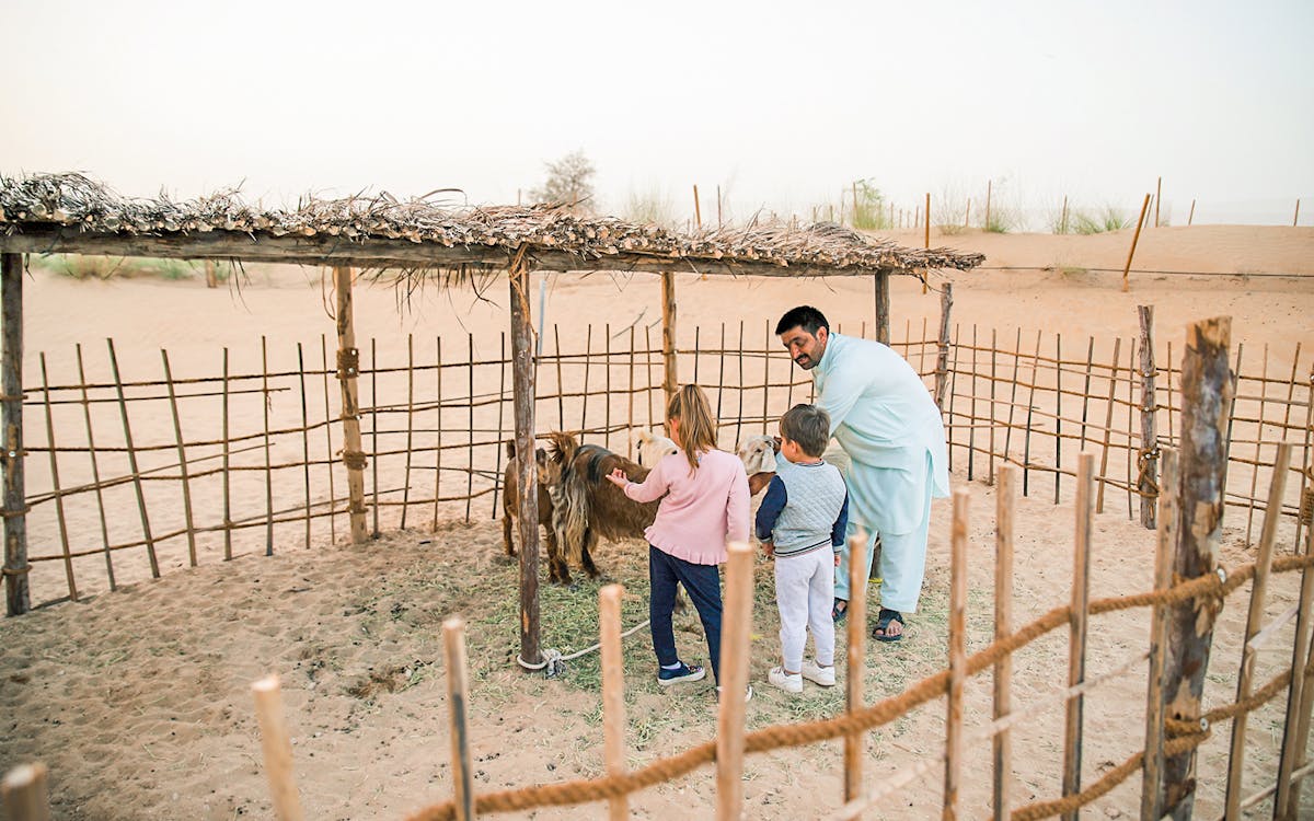 safari culturale beduino premium, colazione emiratina ed esperienza nella fauna selvatica-10 safari culturale beduino premium, colazione emiratina ed esperienza nella fauna selvatica-10