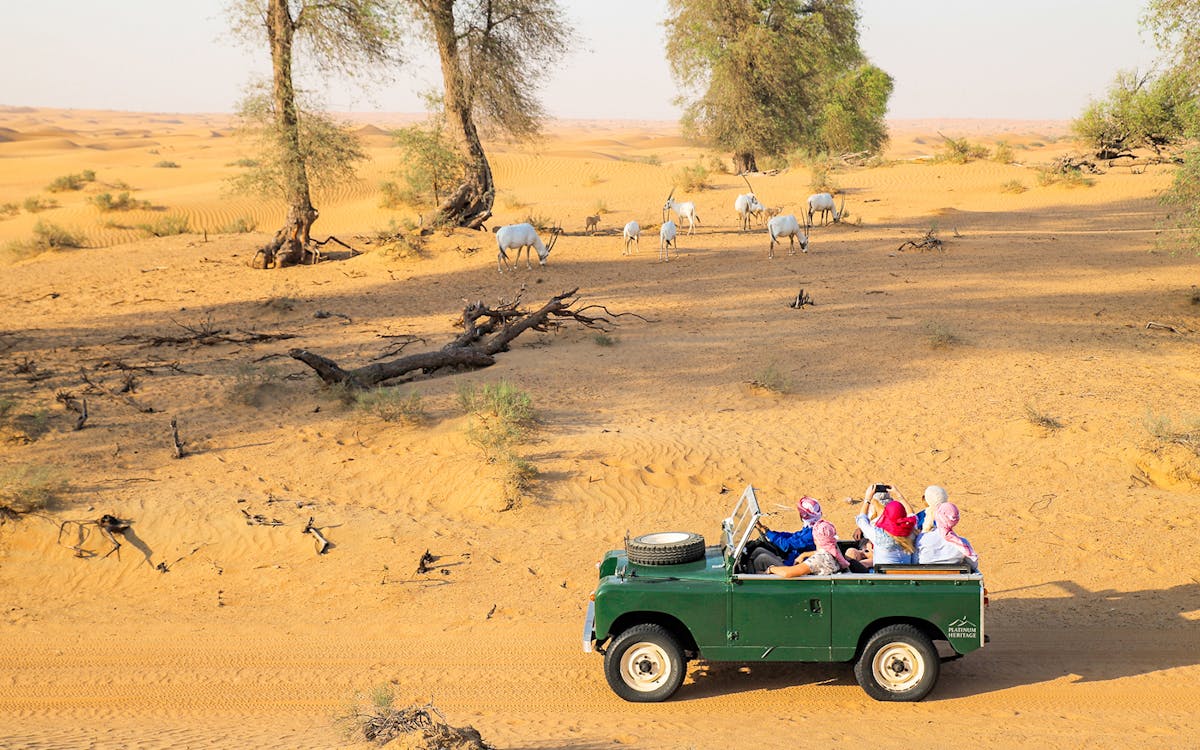 safari culturale beduino premium, colazione emiratina ed esperienza nella fauna selvatica-15 safari culturale beduino premium, colazione emiratina ed esperienza nella fauna selvatica-15