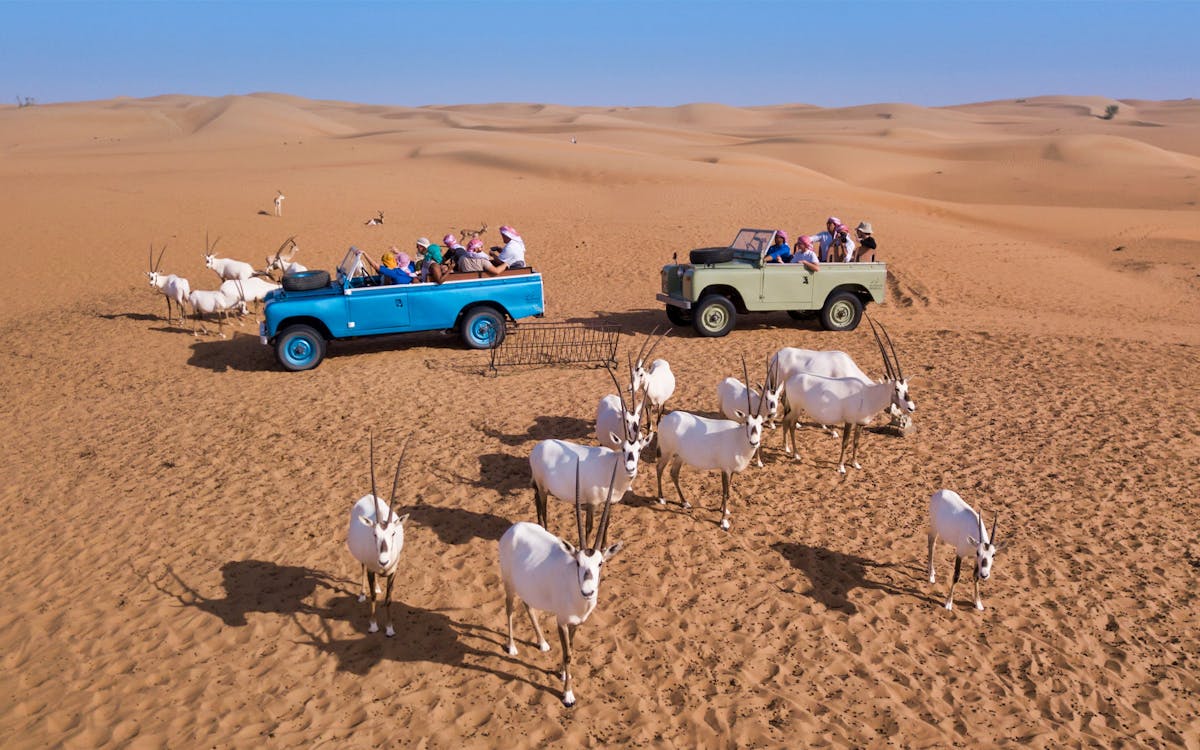 platinum heritage dubai- bedouin breakfast & love lakes desert safari-0 platinum heritage dubai- bedouin breakfast & love lakes desert safari-0