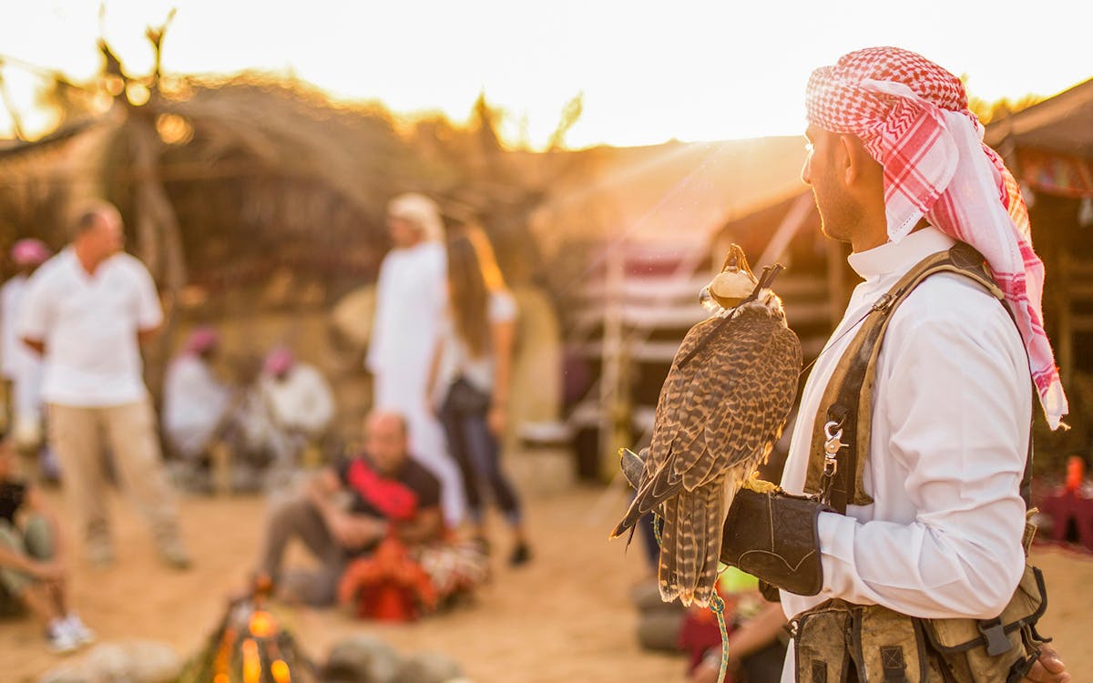 ultra luxury desert safari, wildlife tour & fine dining-4 ultra luxury desert safari, wildlife tour & fine dining-4