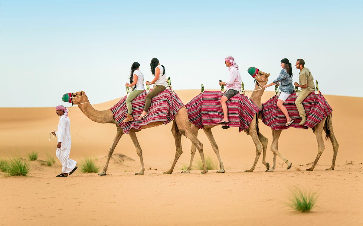 ultra luxury desert safari, wildlife tour & fine dining-8 ultra luxury desert safari, wildlife tour & fine dining-8
