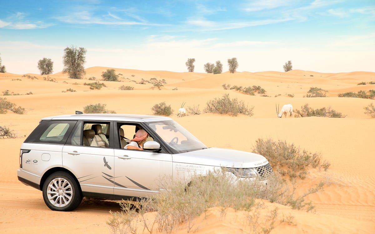 conservation drive to al maha desert resort with gourmet breakfast-4 conservation drive to al maha desert resort with gourmet breakfast-4