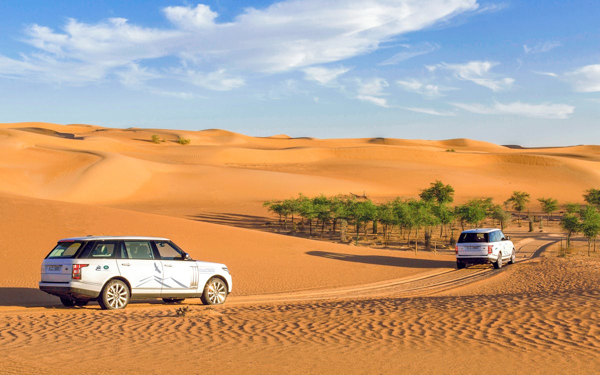 conservation drive to al maha desert resort with gourmet breakfast-14 conservation drive to al maha desert resort with gourmet breakfast-14