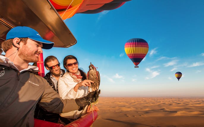 Hot air balloon ride over desert with falconry experience, multiple balloons in the sky.