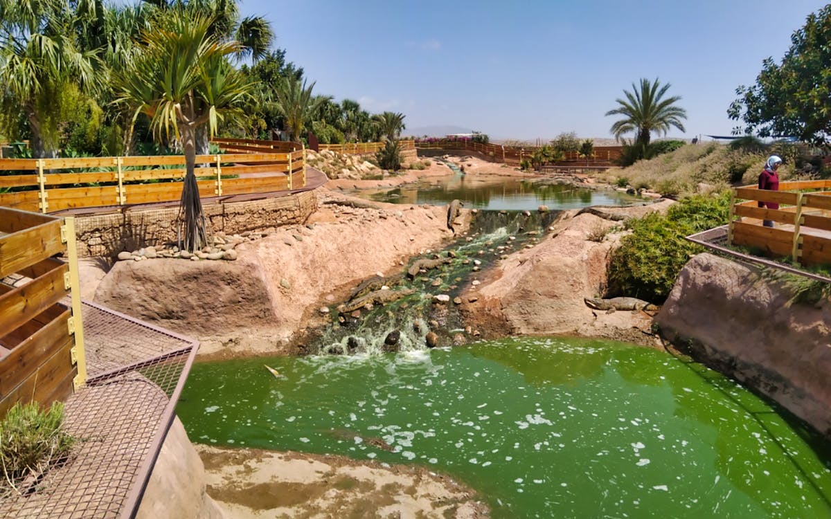 day trip to agadir from marrakesh-2 day trip to agadir from marrakesh-2