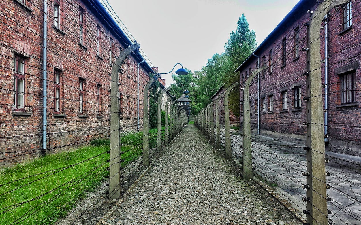 Auschwitz Birkenau barbed wire fence and brick buildings on guided tour.