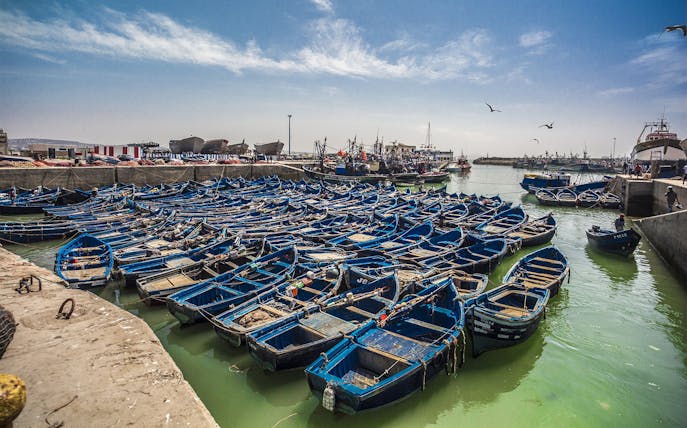 Blue fishing boats in the harbor of Essaouira, Morocco, with seagulls flying overhead.