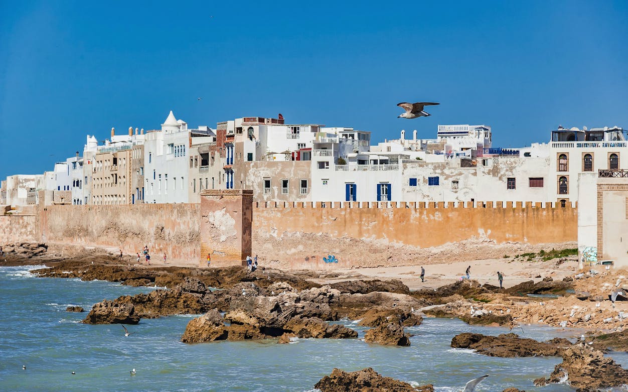 Essaouira coastal view with historic city walls and ocean, seen on a day tour from Marrakesh.