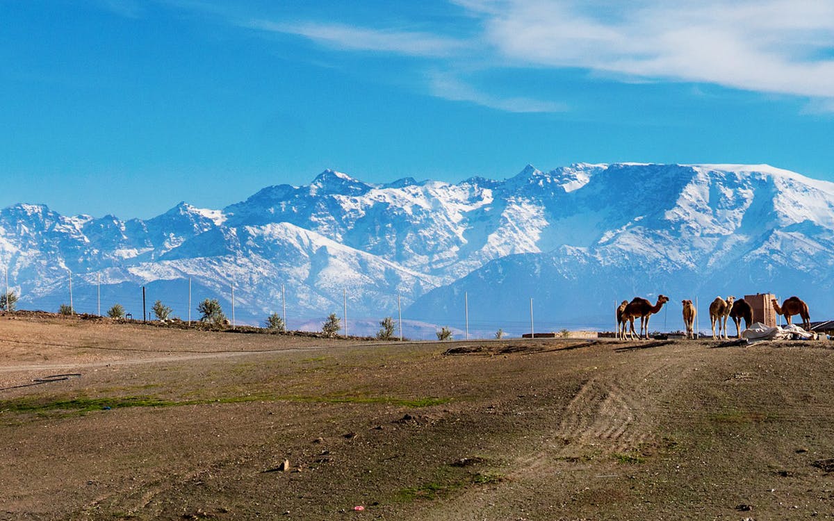 private day tour: marrakesh to atlas mountains-1 private day tour: marrakesh to atlas mountains-1