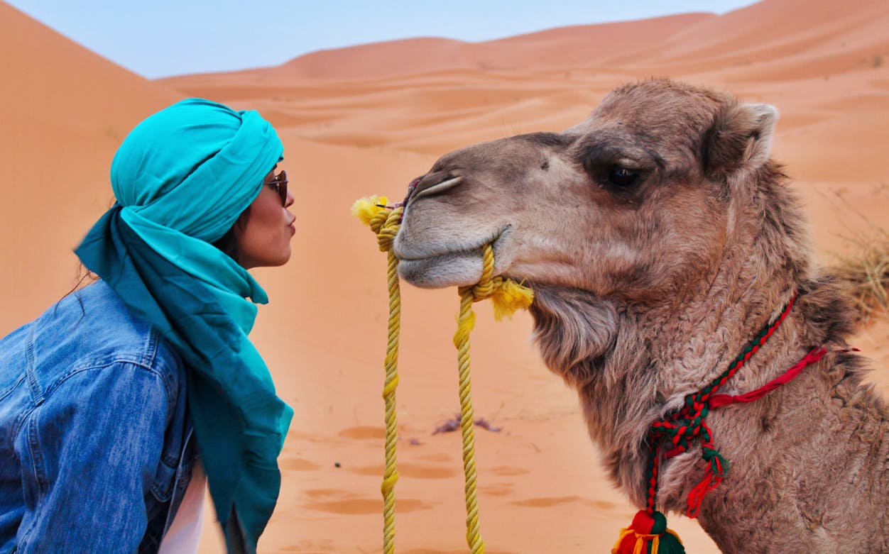 Person interacting with a camel in Agafay Desert during a private tour.