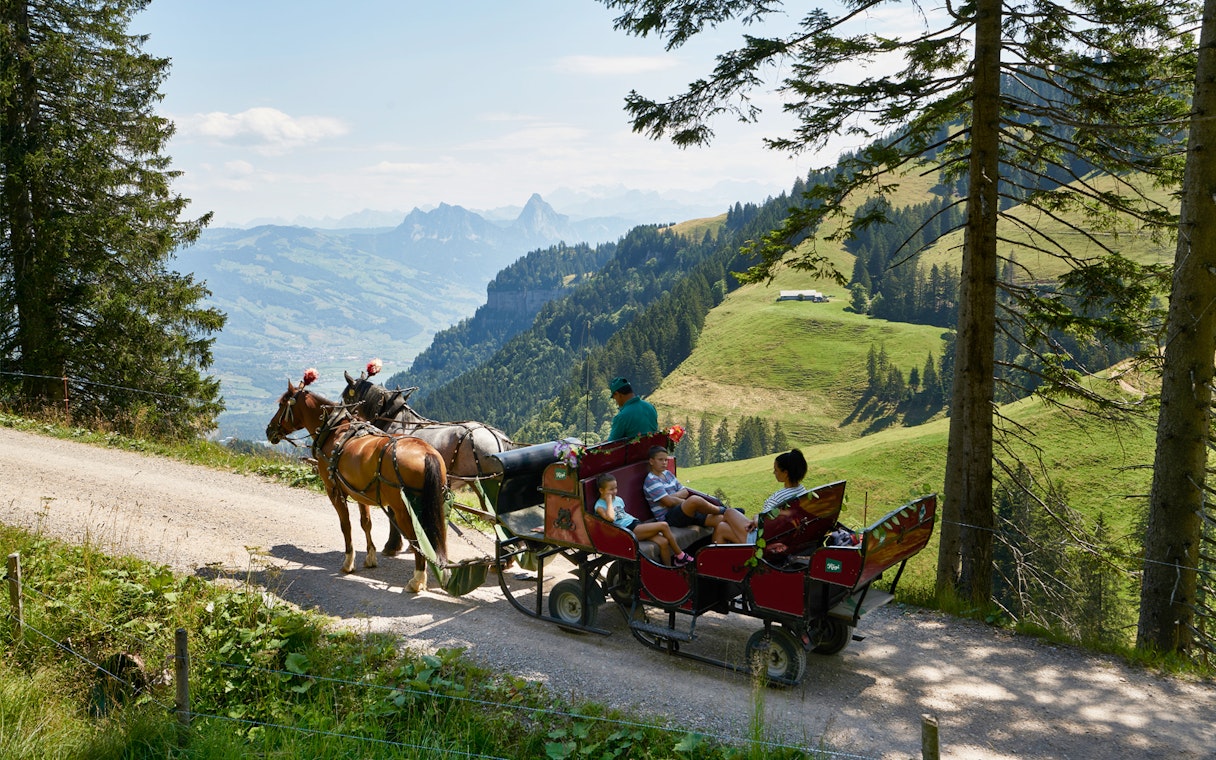 Horse-drawn carriage on Mount Rigi trail with scenic view, part of Lucerne day pass tour.