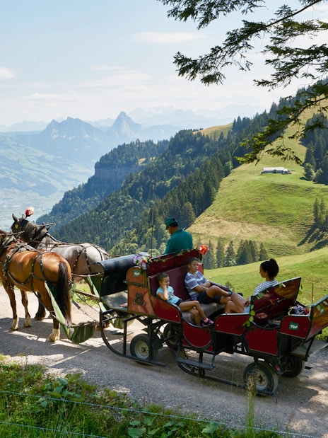 Horse-drawn carriage on Mount Rigi trail with scenic view, part of Lucerne day pass tour.