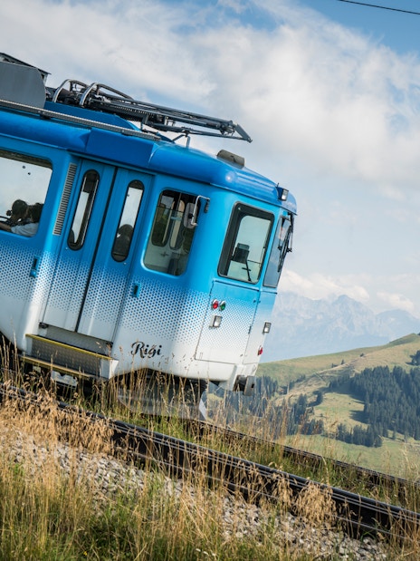 Scenic train ride on Mount Rigi with views of Swiss Alps, part of Lucerne day pass tour.