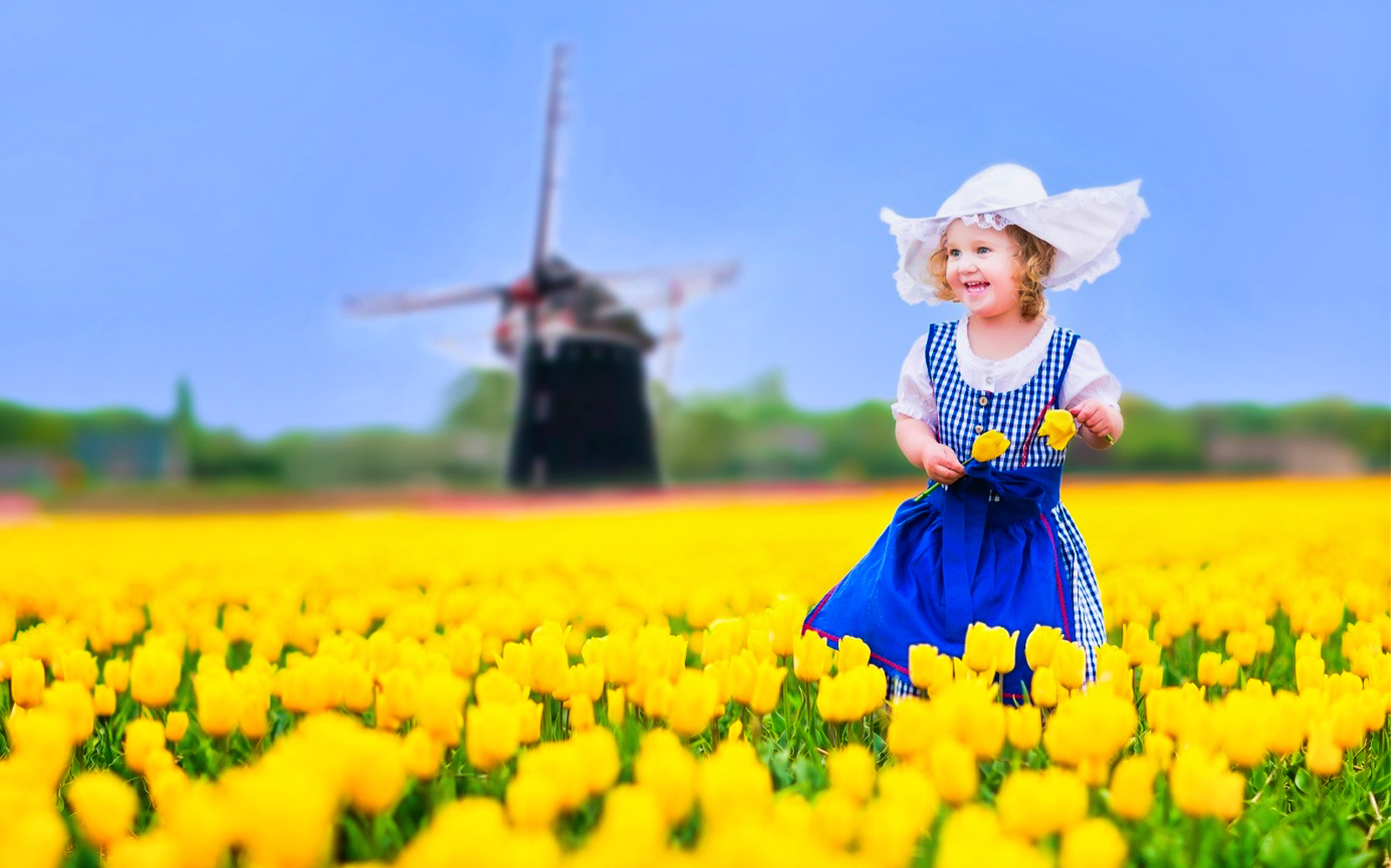 Child in tulip field with windmill, Amsterdam day trip.