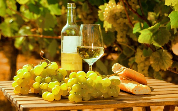 Grapes, wine bottle, and bread on a table in a Frascati vineyard.