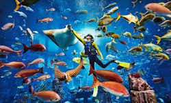 Aquaventure Waterpark tickets - 1