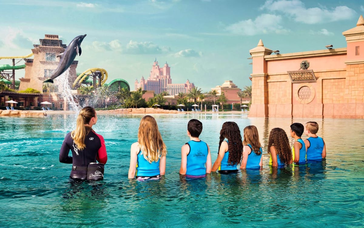 dolphin trek at atlantis aquaventure-0 dolphin trek at atlantis aquaventure-0