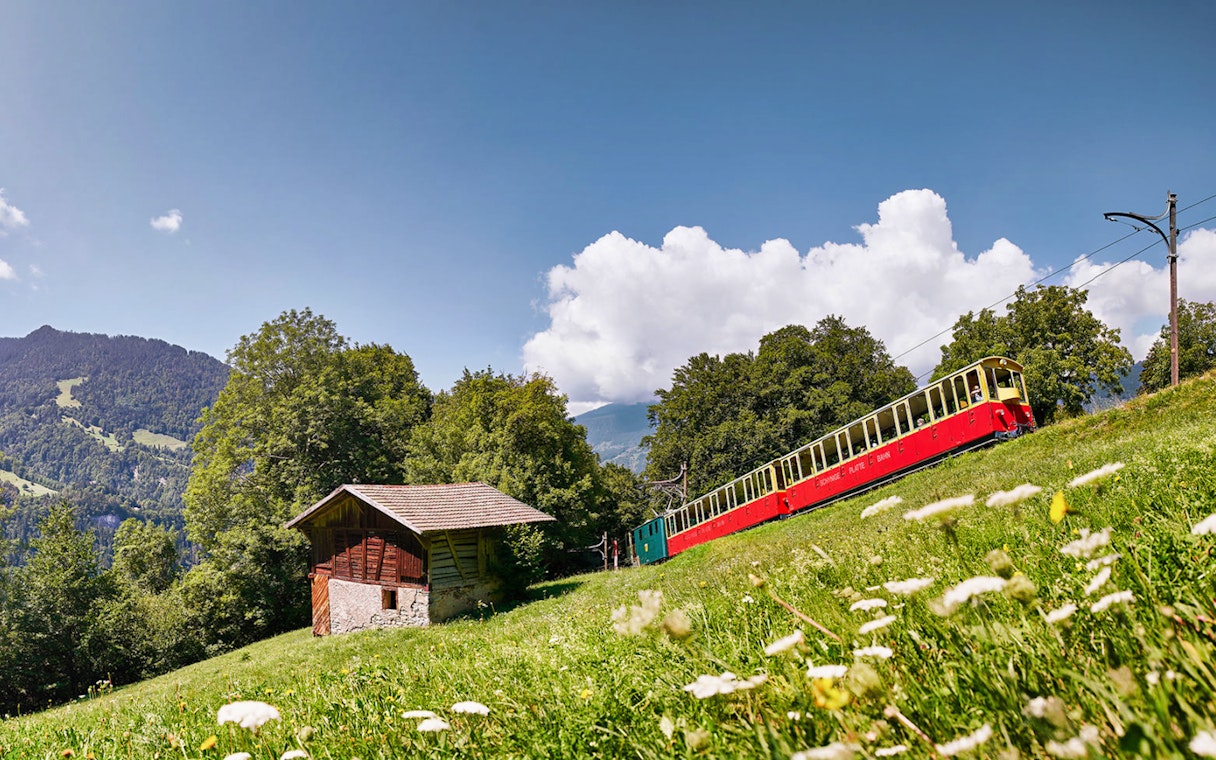 Train traveling through scenic landscape near Schynige Platte, Switzerland.