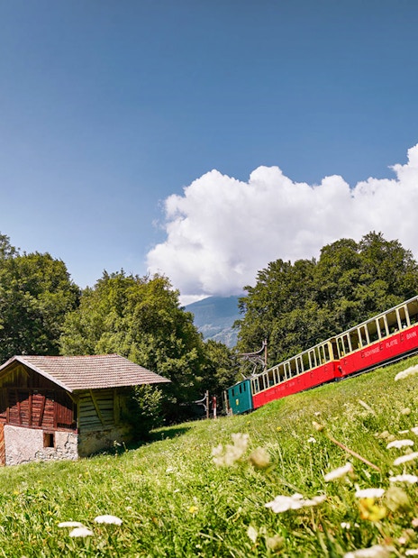 Train traveling through scenic landscape near Schynige Platte, Switzerland.