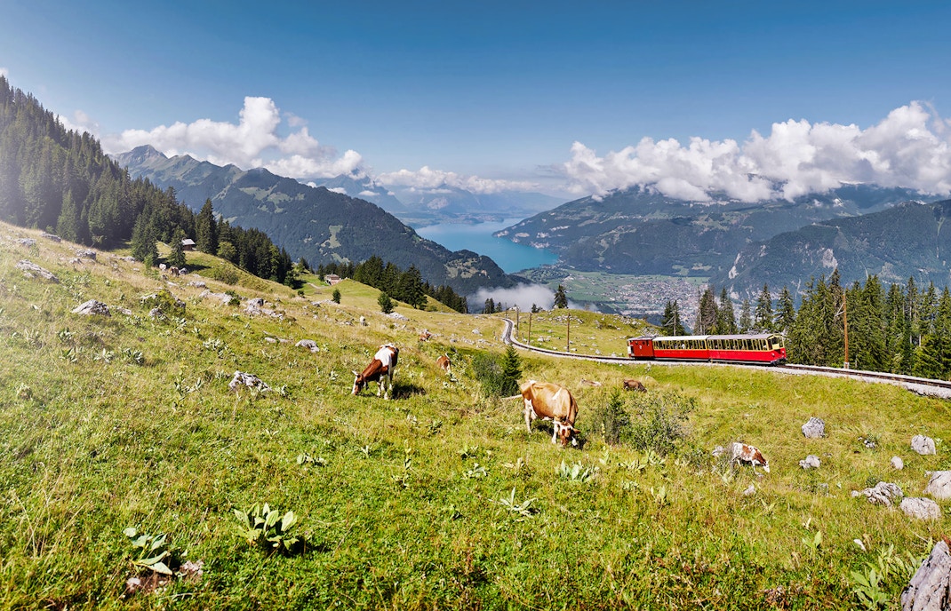 Schynige Platte Tickets